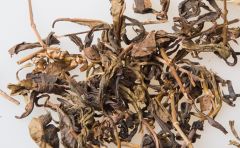 霍山黄大茶的功效与作用 _霍山黄大茶怎么保存