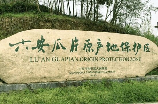 六安瓜片哪里产的比较正宗-第1张-六安瓜片-凤凰单丛茶网