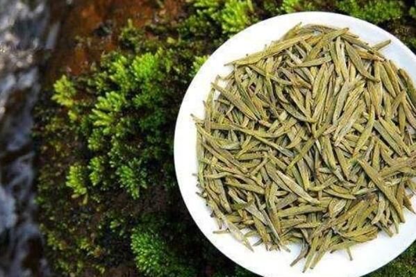 中国十大主要黄茶品种,远安黄茶上榜,第一有金镶玉的雅称-第7张-远安黄茶-凤凰单丛茶网