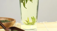 湄江茶该怎么泡？湄江茶的冲泡方法？