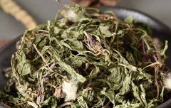 丁香茶和蒲公英可同服吗？丁香蒲公英茶的功效与作用 是什么呢？