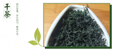 白马毛尖是什么茶_白马毛尖的功效与作用介绍