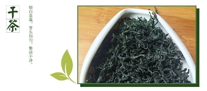 白马毛尖是什么茶_白马毛尖的功效与作用介绍-第1张-毛尖茶-凤凰单丛茶网