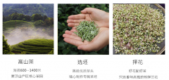 踏雪兰妃茶属于什么茶？踏雪兰妃冲泡方法