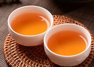 为什么大家都爱老树白茶？