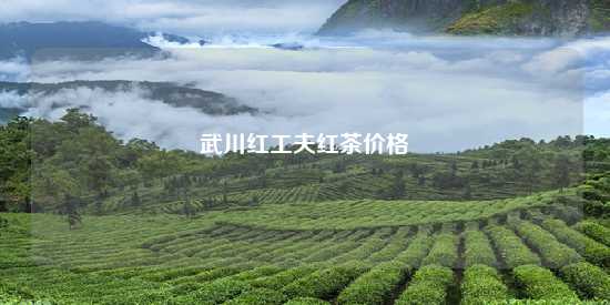 武川红工夫红茶价格-第1张-茶叶知识-凤凰单丛茶网