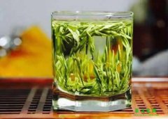 南京雨花茶泡法：上投中投下投法