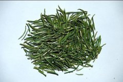 雀舌茶也叫竹叶青吗？