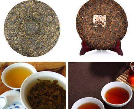 普洱生茶和普洱熟茶的区别在哪里？哪个更好？-第1张-普洱-凤凰单丛茶网