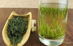 日照绿茶能泡几泡？怎么冲泡？