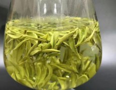 靖安白茶的冲泡方法？