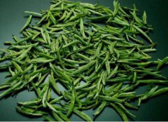 金坛雀舌的制茶工艺！