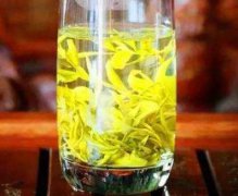 白岳黄芽的功效作用_适合人群！