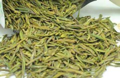 千岛银珍茶属于是什么茶？