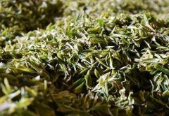 东白春芽的价格多少钱一斤？