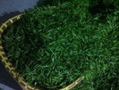 白岳黄芽如何保存？