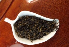 湖红工夫的宜忌人群！