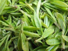 石阡苔茶怎么样？是好茶吗？
