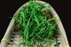 石竹茶的功效与作用及禁忌