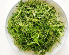 哪类人不适合喝石竹茶喝石竹茶的副作用与禁忌