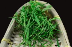 石竹茶的功效与作用 石竹茶搭配技巧