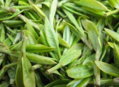 石阡苔茶的功效作用_和禁忌人群！