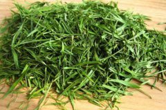 哪类人不适合喝石竹茶,石竹茶的功效与禁忌