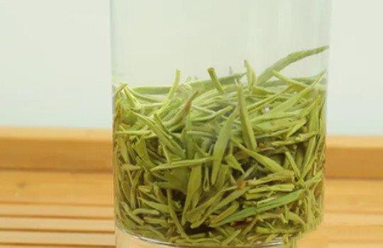 毛尖茶冲泡方法？-第2张-毛尖茶-凤凰单丛茶网