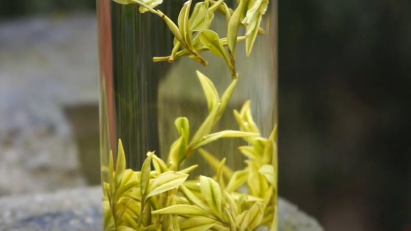 茶的回甘是一种什么感觉？-第1张-茶叶知识-凤凰单丛茶网
