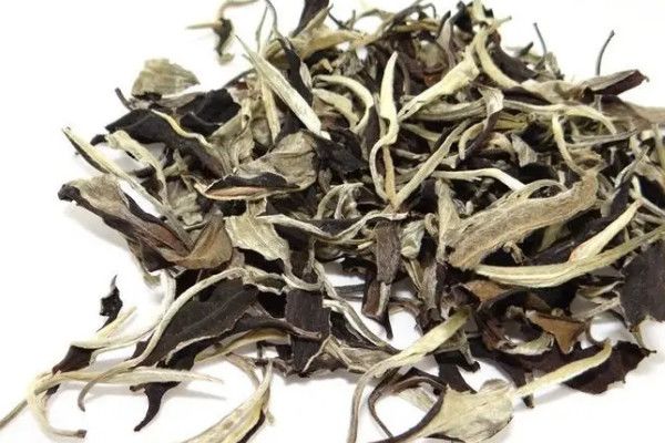 月光白属于什么茶？类_月光白是白茶还是生普-第1张-白茶-凤凰单丛茶网