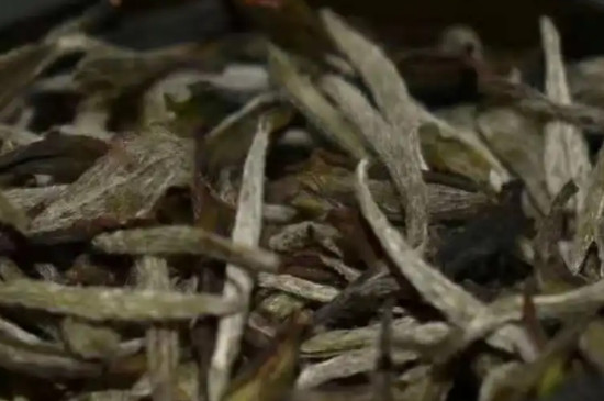 桑植白茶的功效与作用及禁忌-第1张-白茶-凤凰单丛茶网