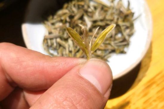 六大茶类哪种适合长期存放_日常如何保存方法一览？-第2张-茶叶知识-凤凰单丛茶网