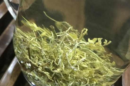 金祈藤茶的功效与作用-第2张-茶叶知识-凤凰单丛茶网