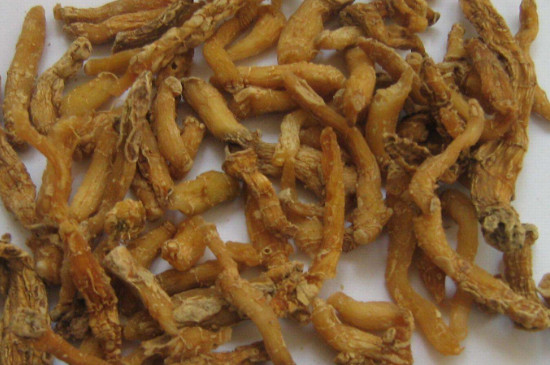 三参玉竹的功效-第2张-茶叶知识-凤凰单丛茶网