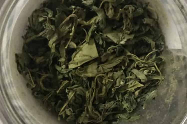 丁香茶有什么功效？丁香茶有什么用处？-第2张-丁香茶-凤凰单丛茶网