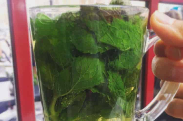 丁香茶和什么搭配喝好_丁香的最佳配伍-第2张-丁香茶-凤凰单丛茶网