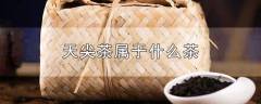 天尖茶属于什么茶？