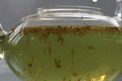 桂花茶加蜂蜜的功效与作用 _桂花蜂蜜有什么功效？与作用？