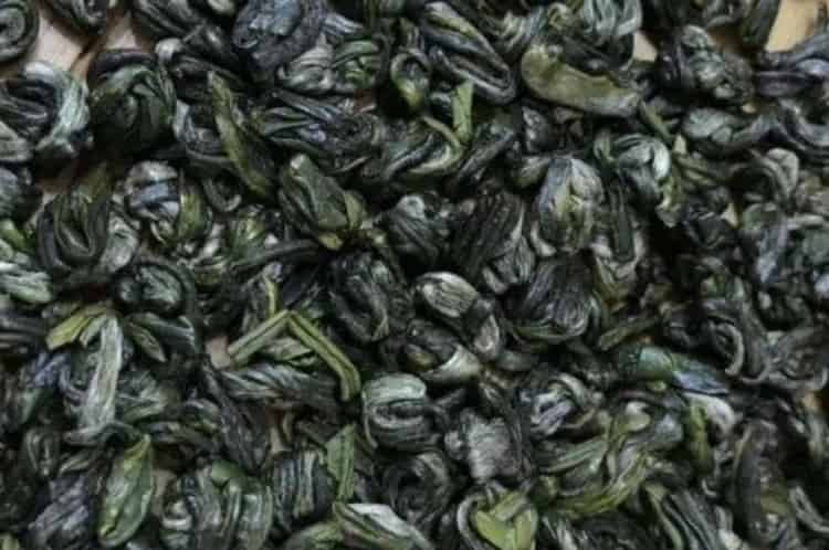 涌溪火青为什么不出名_涌溪火青是十大名茶吗-第2张-涌溪火青-凤凰单丛茶网