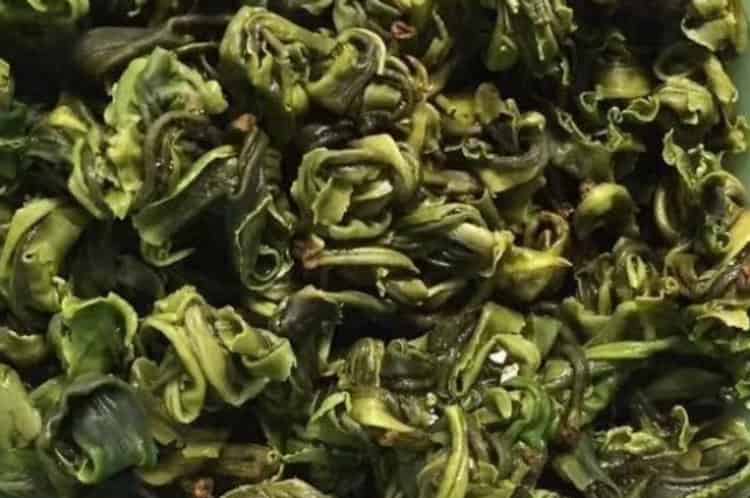 涌溪火青为什么不出名_涌溪火青是十大名茶吗-第4张-涌溪火青-凤凰单丛茶网