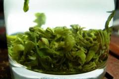 涌溪火青为什么不出名_涌溪火青是十大名茶吗