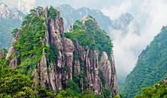 黄山毛峰属于什么茶类？(产地、保存方法、等级划分)