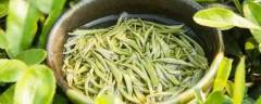 无锡毫茶冲泡方法