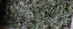 阳羡雪芽怎么泡