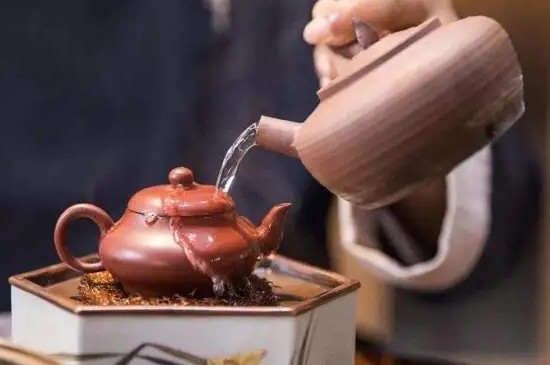功夫茶冲泡步骤-第3张-茶叶知识-凤凰单丛茶网