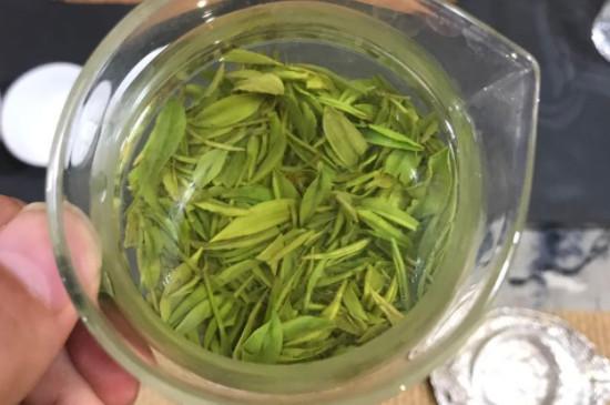 毛尖茶一天喝多少适合-第3张-毛尖茶-凤凰单丛茶网