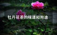 牡丹花茶的味道和用途