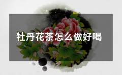 牡丹花茶怎么做好喝