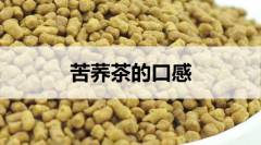 苦荞茶的口感什么样？