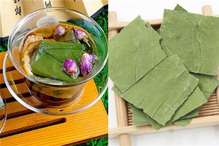 荷叶茶的副作用你知道吗_这几个禁忌务必要谨记-第1张-荷叶茶-凤凰单丛茶网